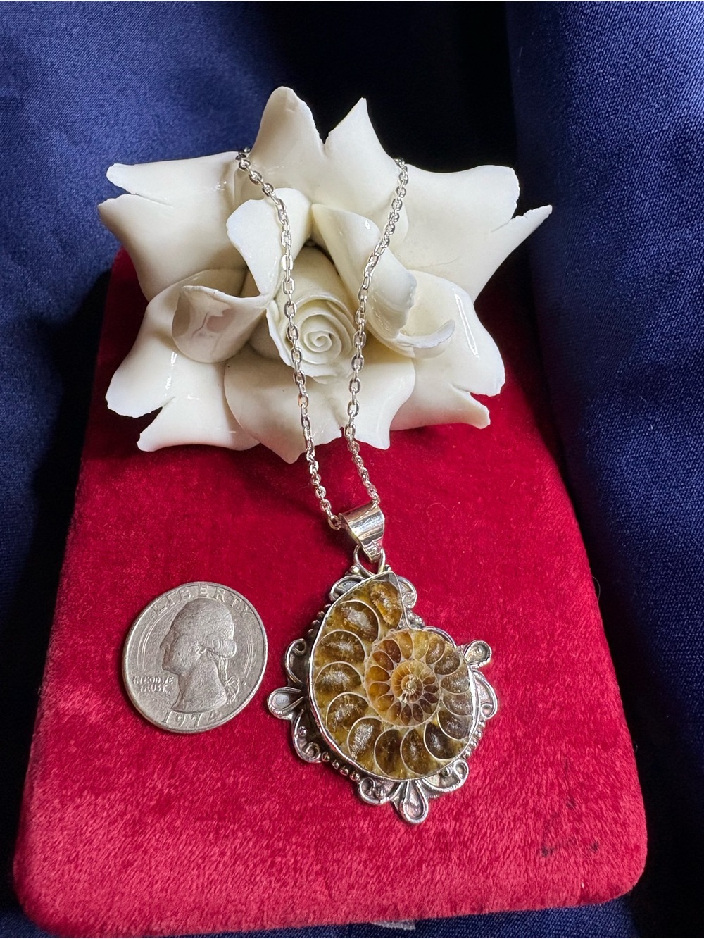 🤩Necklace Silver Genuine Ammonite Fossil Pendant on 18" Chain - Picture 2 of 6